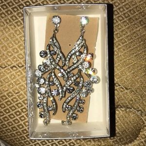 Long silver earrings